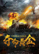 搭建蜘蛛池要什么